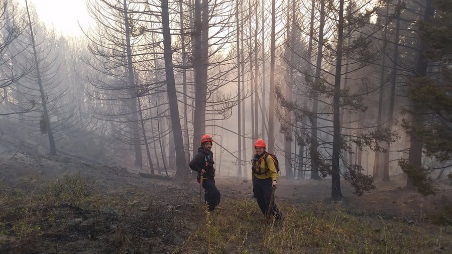 Two wildland firefighters work on a fire on a slope in trees