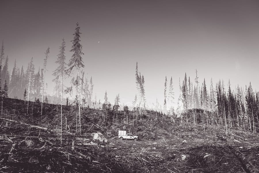 An A+G Reforestation crew truck parked in an industrialized forest cut block being replanted