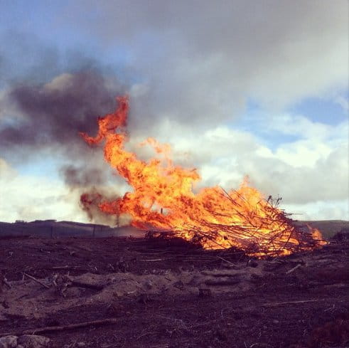 A slash pile burn operation in progress