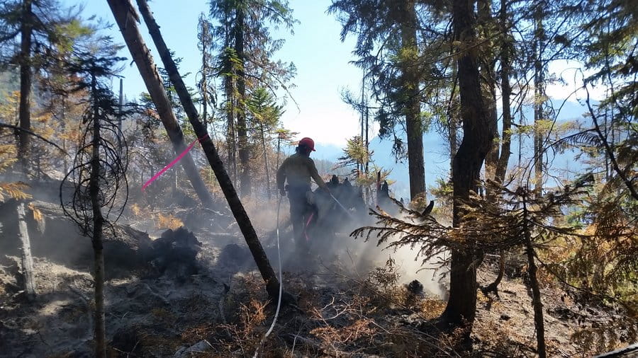 A wildland fire fighter with hose sprays water onto a fire